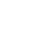 SSD icon